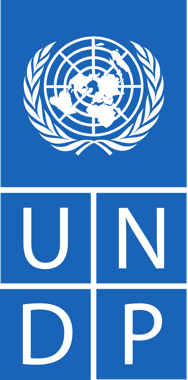 Logo PNUD
